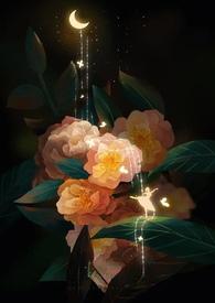 年代H)杨青青网